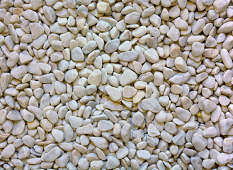 Fototapeta premium background of gray and rounded stones