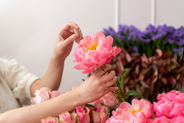 Fototapeta na wymiar Hands of a young florist woman making modern bouquet of flowers