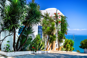 Beautiful garden with palm trees and flowers at the white wall of the city of Sidi Bou Said. Tunisia.