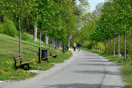 allee im kurpark auf dem gr&auml;fenberg
