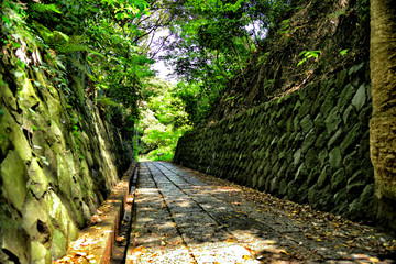 Road of Kannonzaki Park in Yokosuka city, Japan.