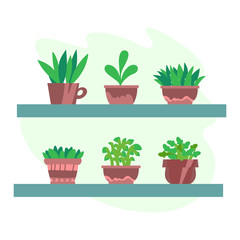 Vector illustration, isolated potted plants on a shelf, flat style. Can be used as interior element, applicable for bright home decorations leaflets, hygge illustrations etc.