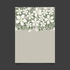 Common size of floral greeting card and invitation template for wedding or birthday anniversary, Vector shape of text box label and frame, Jasmine flowers wreath ivy style with branch and leaves.