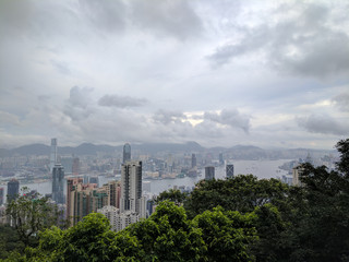 Fototapeta premium Scenic View on the City Hong Kong from the Jungle on the Mountain