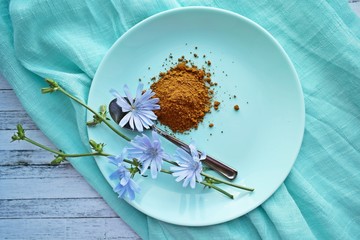 Ground chicory and blue chicory flowers on blue background.Alternative to coffee.