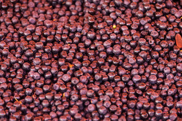 Fresh blueberry background. Texture blueberry berries close up