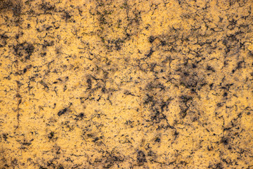 Yellow Rough grunge vintage background distressed weathered dirty old texture