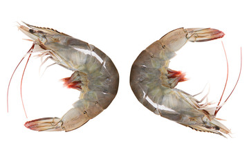 Isolated close up  fresh raw white  shrimps or prawn  gourmet for cooking nutrients background texture