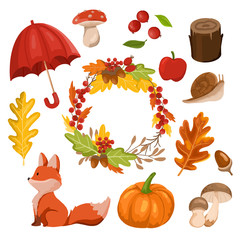 Autumn elements collection with decorative wreath. vector illustration