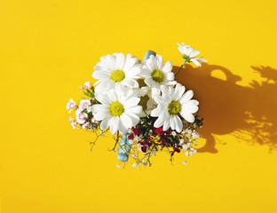 Daisies in Vase on Yellow Table