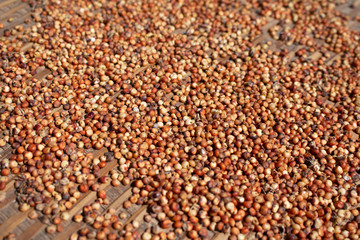 Drying millets on bamboo table background dried process