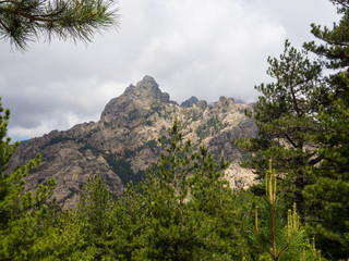 Fototapeta premium Mountain View