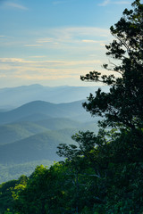 Fototapeta na wymiar Summer Morning Shadows on the Blue Ridge Mountains