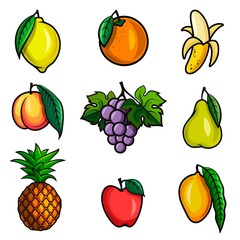 ripe juicy fruit. set of vector sketches on a white