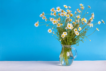 Rural still-life - bouquet of chamomile (Matricaria recutita) in a glass jug, blooming spring flowers, closeup, with space for text