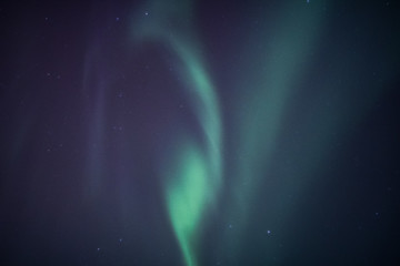 Obraz na płótnie Canvas Northern lights, Aurora borealis in the night sky