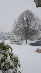 SNOW LINED STREET