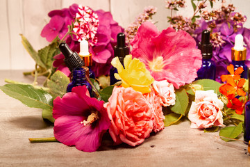 flowers and bottles of essential oils for aromatherapy