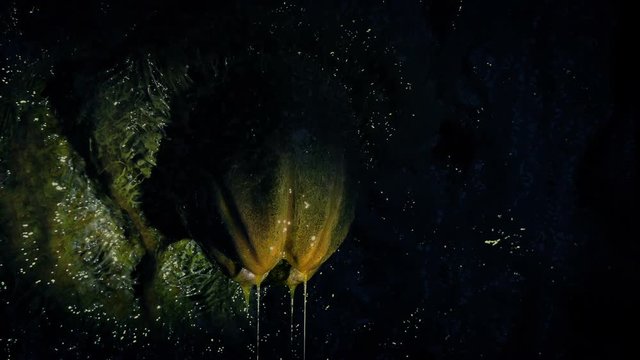 Torch Lights Up Alien Egg Above Dripping Slime - 2 Shots