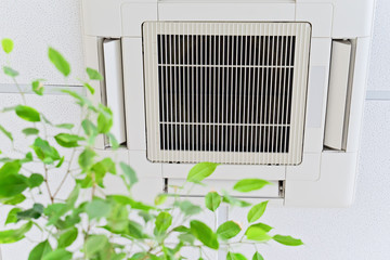 Ceiling air conditioner in modern office or at home with green ficus plant leaves an idea of clean air. Indoor air quality concept - obrazy, fototapety, plakaty