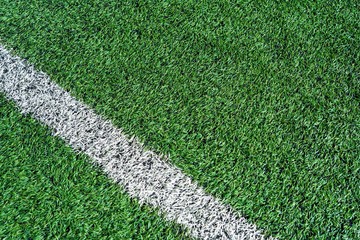 Top View of Artificial Turf