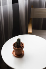 The perfect combination of light and shadow in the rainy atmosphere