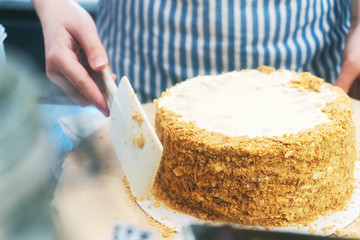 Girl pastry chef making the cake, sprinkle it with crumbs. Free space for text. The concept of the...