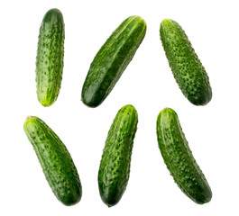 Set of fresh cucumbers isolated on a white.