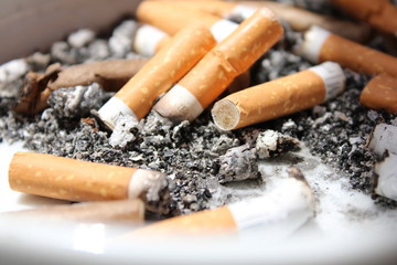colillas de tabaco sobre un montón de ceniza