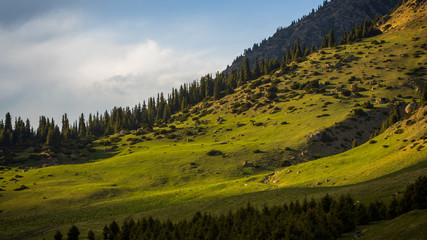 Obraz premium Morning sun in Mountains of Kyrgyzstan