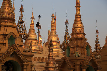 Naklejka premium Shwedegon Pagode