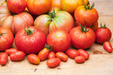 Tomates maduros y tomates cherry juntos en la misma foto. Foto de conjunto de tomates saludables y...
