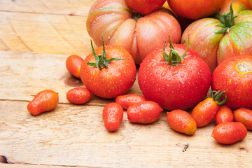 Tomates maduros y tomates cherry juntos en la misma foto. Foto de conjunto de tomates saludables y...