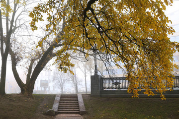 Autumn cityscape in the fog.