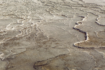 abstract white background with stone outer ripples of calcium in Pamukkale
