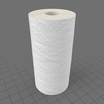 Paper towel roll