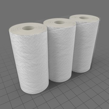 Paper towel rolls 2