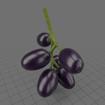 Java plums with stem