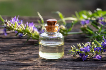 Obraz na płótnie Canvas A bottle of hyssop essential oil with blooming hyssop