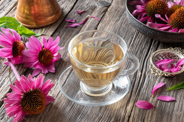 A cup of herbal tea with fresh echinacea flowers