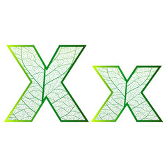 Set of eco Latin  letters texture leaf vein. Vector illustration. EPS 10.