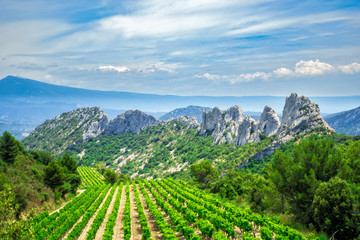 Weinbau im Angesicht des Mont Ventoux in den Dentelles de Montmirail in der Provence - obrazy, fototapety, plakaty