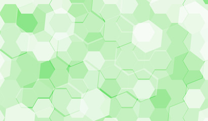 Obraz na płótnie Canvas Light Green vector polygonal background. A vague abstract illustration with gradient. The polygonal design can be used for your web site
