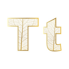 Set of eco Latin  letters texture leaf vein. Vector illustration. EPS 10.