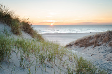 Dunes at sunset on bright blue days at the beach. Dune grass blowing in the summer breeze