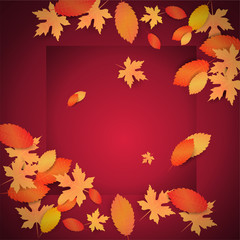 Autumn vector background with leaves for card, banner and poster template. Ad concept. Seasonal discount offer. Special offer and autumn sale. Vector illustration