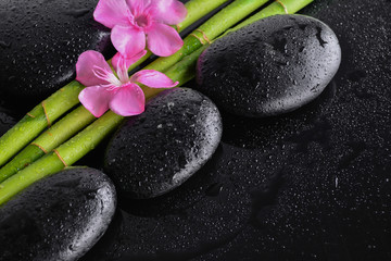 Fototapeta na wymiar pink flower with black stones and bamboo grove on Wet black background. Spa Concept