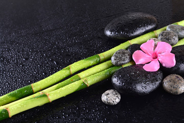Obraz na płótnie Canvas pink flower with black stones and bamboo grove on Wet black background. Spa Concept