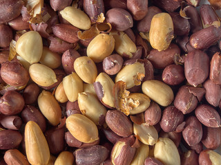 Delicious roasted peanuts.Peanut butter.Peanut butter sandwich