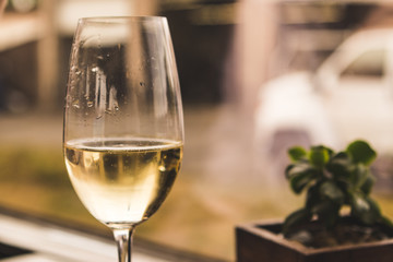 Wine on the table